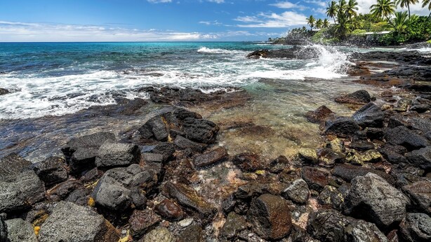 A rocky shoreline with clear water and palm trees in the background.
