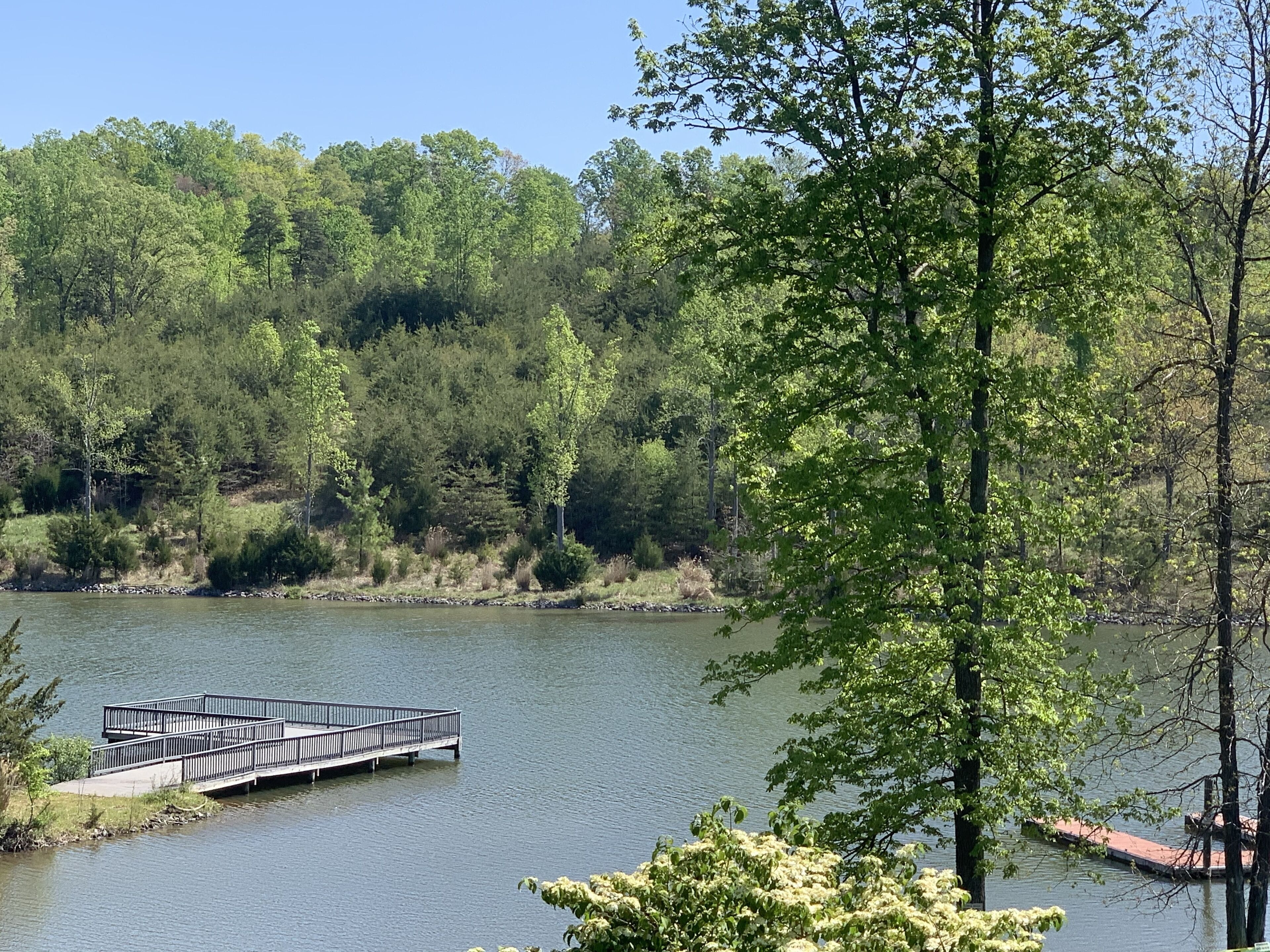 Lakefront, ground level…gorgeous views of the fall foliage on the lake!
