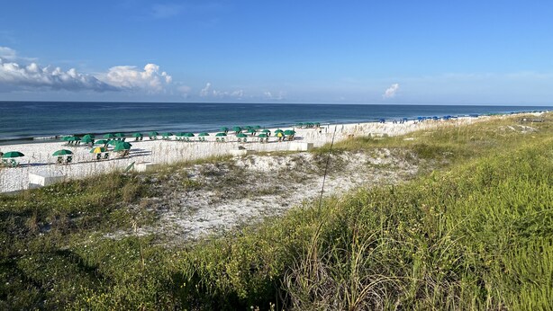 Ein Strand mit weißem Sand, grünen Sonnenschirmen und blauem, klarem Himmel.
