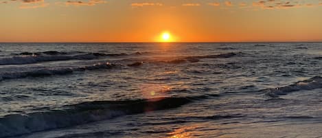 Playa en los alrededores y camastros