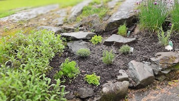 Cottage | Property grounds