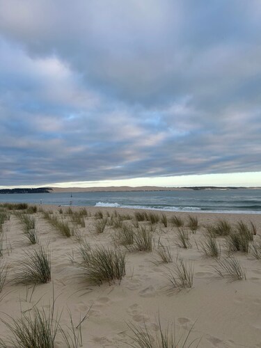 Charm and wild nature for this apartment with terrace in the middle of the dunes