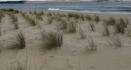 Charm and wild nature for this apartment with terrace in the middle of the dunes