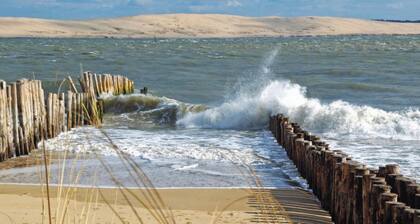 Charm and wild nature for this apartment with terrace in the middle of the dunes