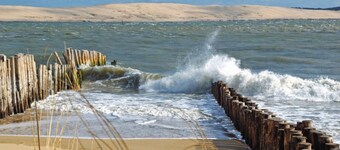 Charme et  nature sauvage pour cet appartement avec terrasse au milieu des dunes
