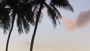 Una playa con palmeras, un atardecer y gente sentada y caminando sobre la arena.