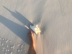 A person's bare feet on a sandy beach with footprints and a piece of seaweed.
