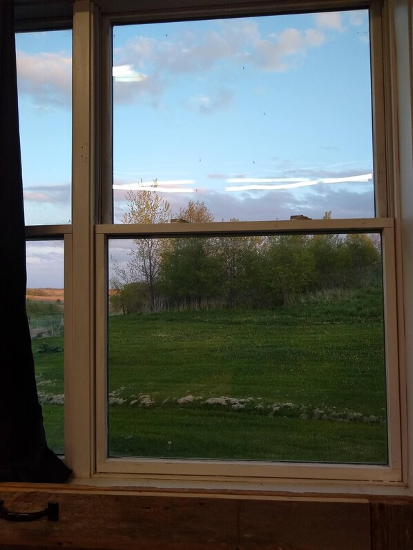 A window with a view of a grassy field and trees.