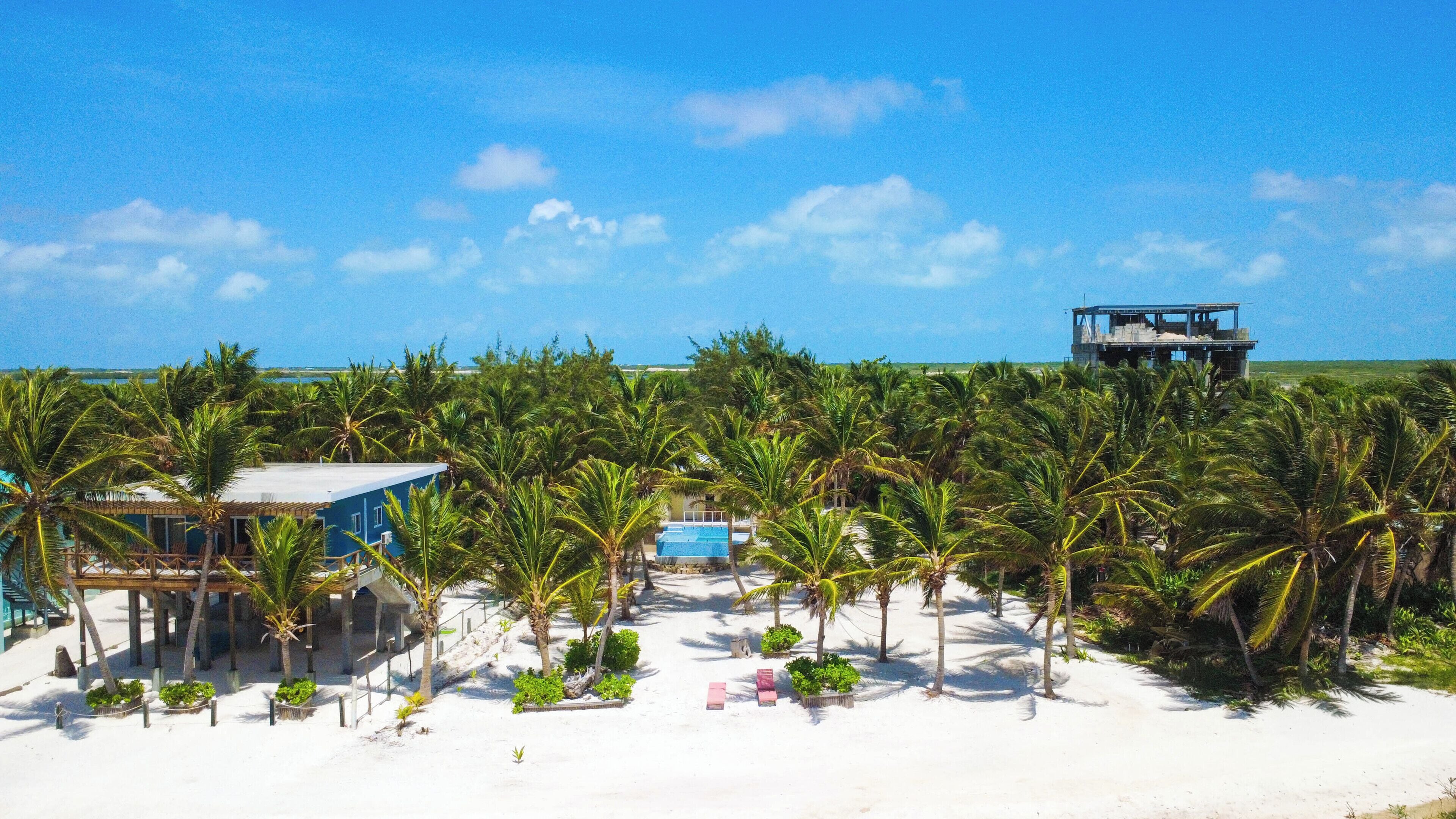 A beach resort with a pool, palm trees, and a building with a view of the ocean.