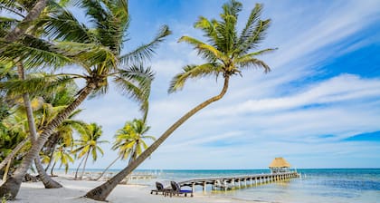 Private Chef Included,PrivateBeach,Free WiFi,2Kayaks,2 GolfCarts