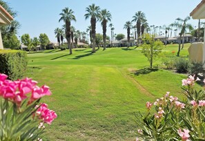 Un campo da golf curato, con palme e cielo sereno.
