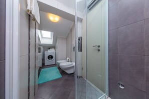 Regadera, secadora de cabello, bidet, toallas