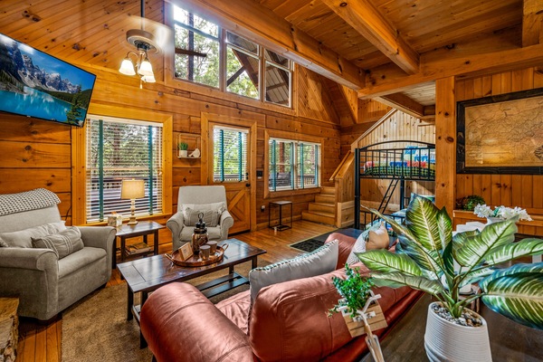 Smart TV, chimenea, videojuegos y libros