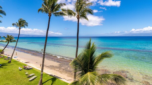 A beach with clear turquoise water, palm trees, and a grassy area with lounge chairs. - Open, spacious 1bd  with oceanfront views (Lahaina)