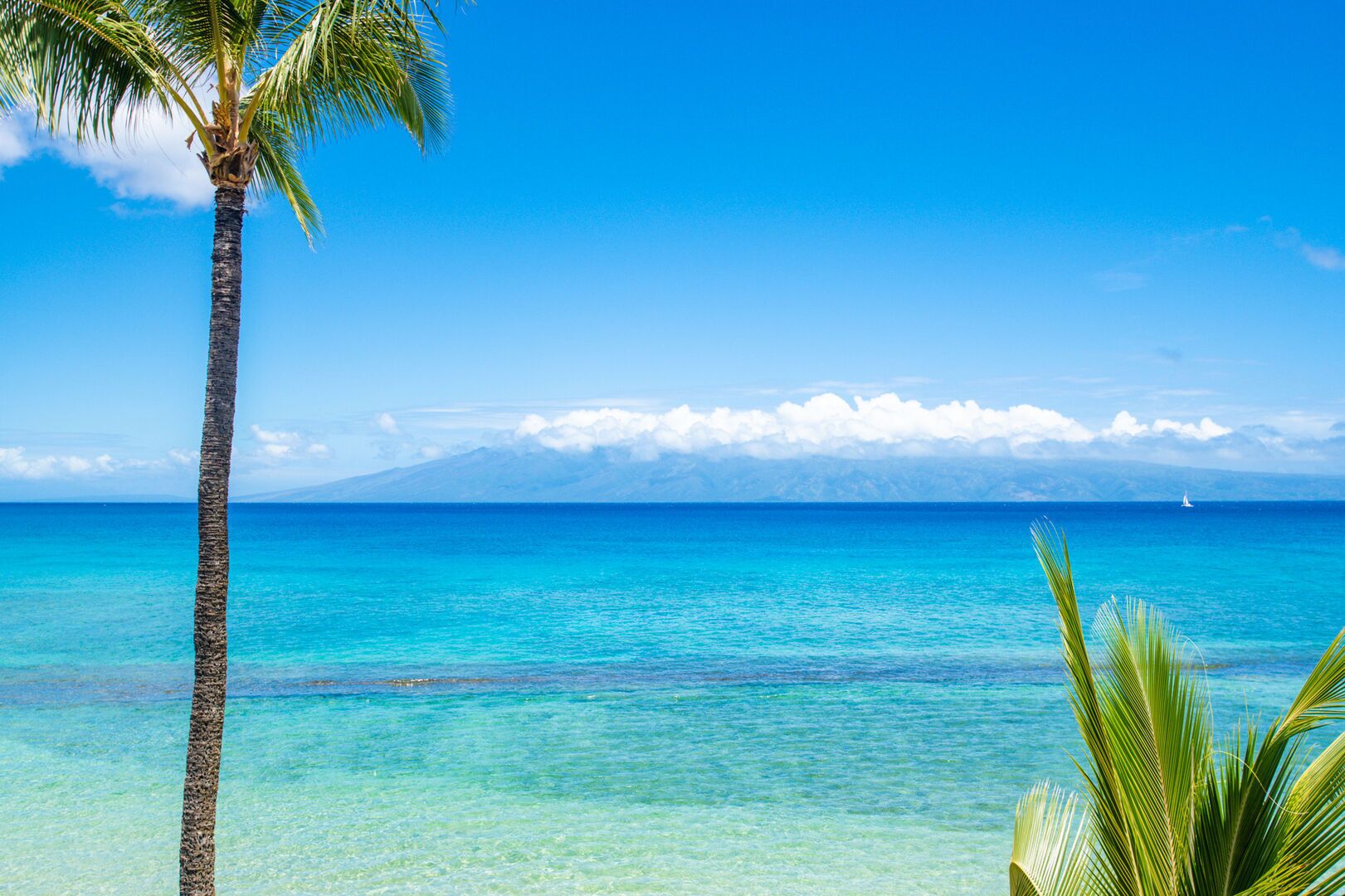 My Perfect Stays: Sep 24-27 was $269 now $149