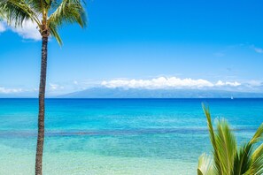 On the beach, beach towels - Great studio with expansive ocean views (Lahaina)