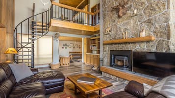 TV, fireplace, video library