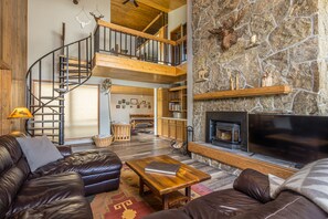 TV, fireplace, video library