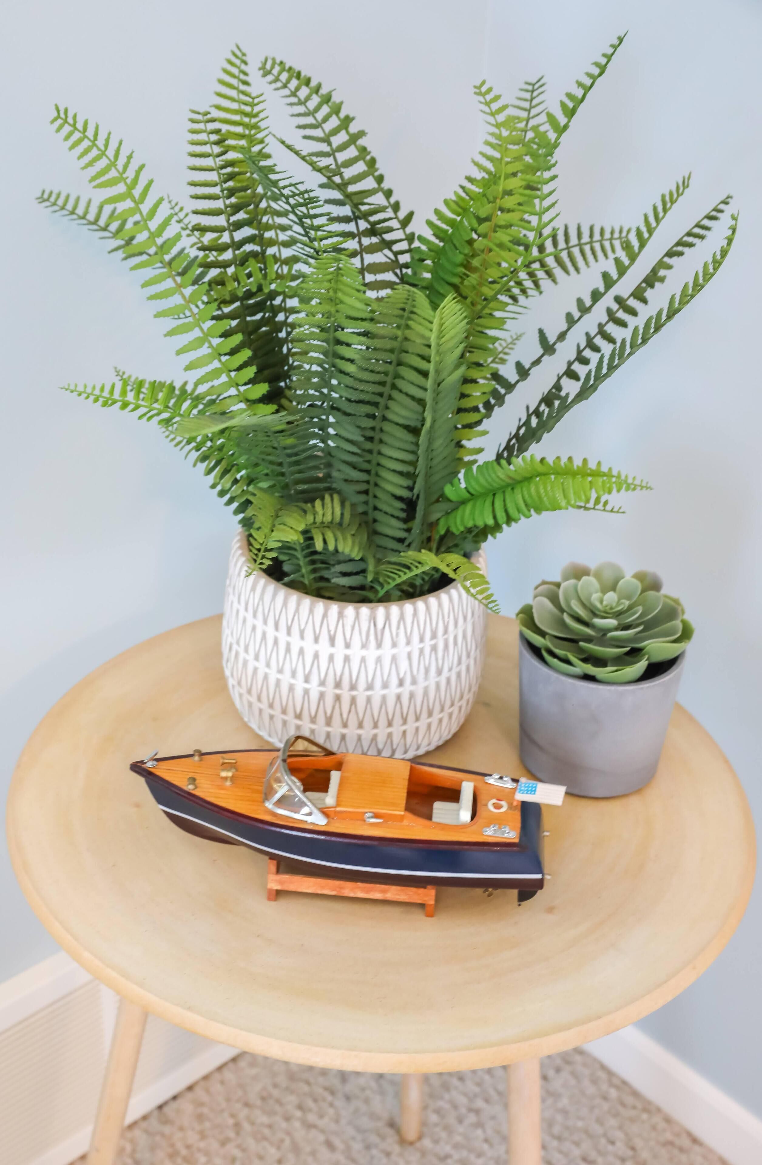 A small round wooden table with a potted fern and a succulent plant, and a model boat on it.