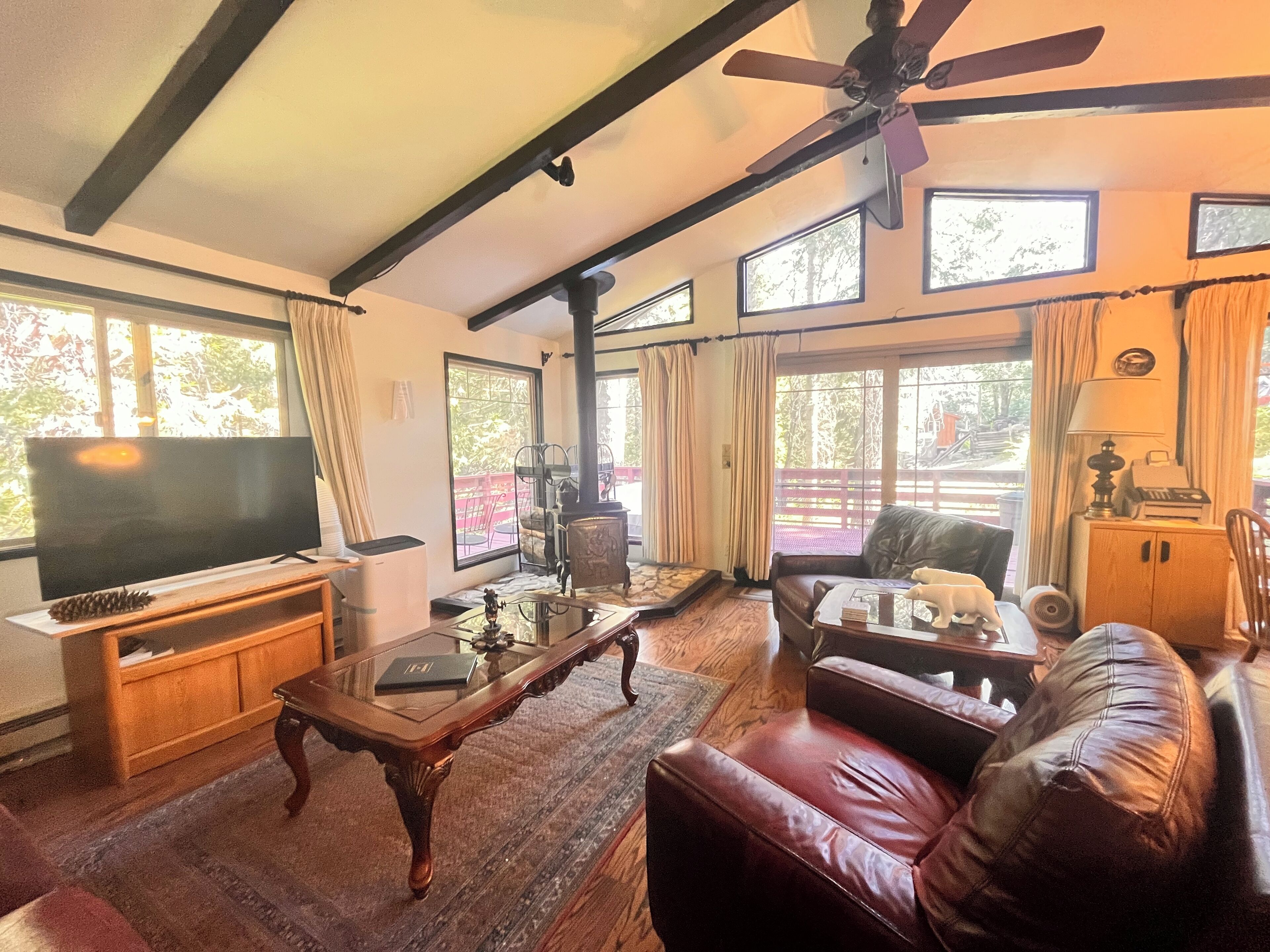 Smart TV, lareira, livros