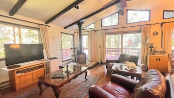 Smart TV, lareira, livros