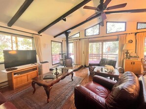 Smart TV, fireplace, books