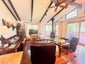 Smart TV, fireplace, books