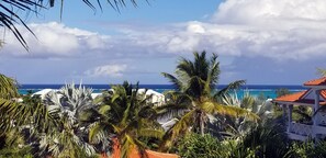 Property grounds - Spacious, 2 Bdr. Ocean View, Oasis - centrally located (Richmond Hill)