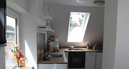 Ferienwohnung Haus Pietscher - FeWo 01
