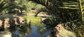 Villa Luxueuse 160 m2 clim,terrain clos 4000m2,piscine, jacuzzi chauffé,animaux