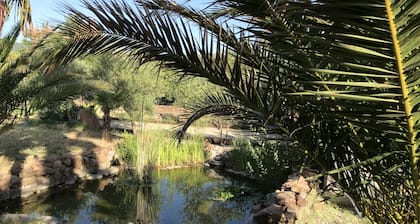 Luxury villa 160 m2 air-conditioned, fenced garden 4000m2, swimming pool, heated jacuzzi, animals