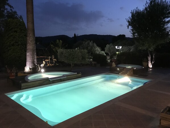 A swimming pool with a hot tub, surrounded by potted plants and trees, at night.