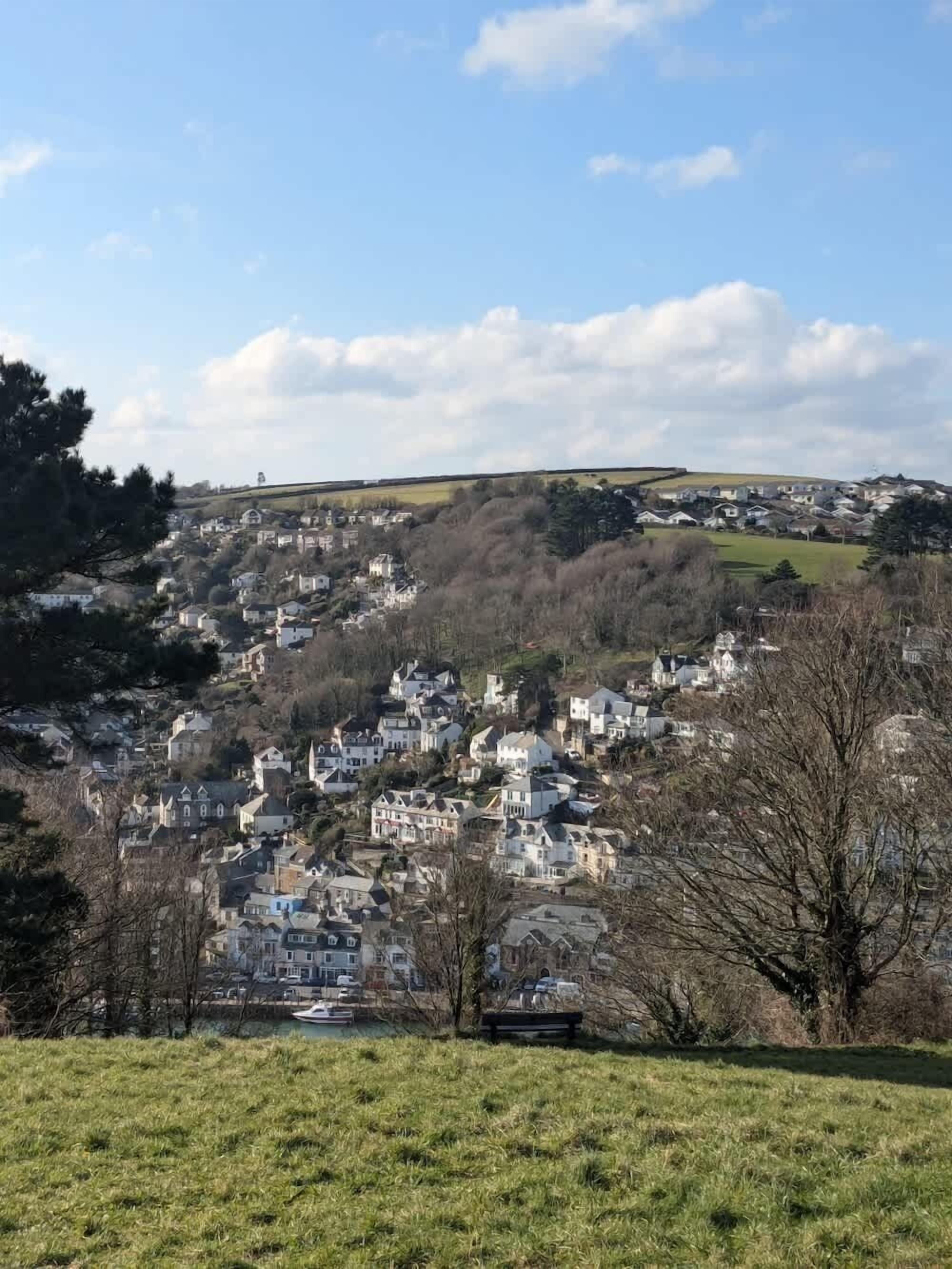 A hillside residential area with houses and a church.