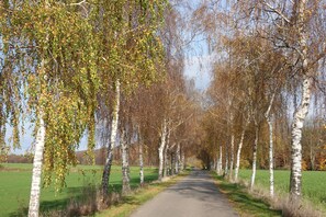Jardines del alojamiento