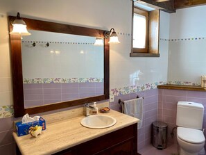 Un baño con un espejo grande, un lavamanos, un inodoro y un cubo de basura.