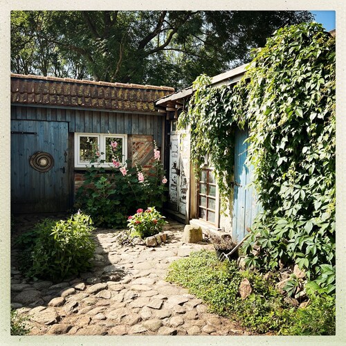 Vacation apartment - nature vacation, pure peace and quiet near the Baltic Sea!