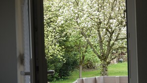 A view through an open door to a garden with a wooden bench and a tree with white blossoms. - Landliebeehrsen 2, modern, quiet location, parking lot.  (Bad Salzuflen)