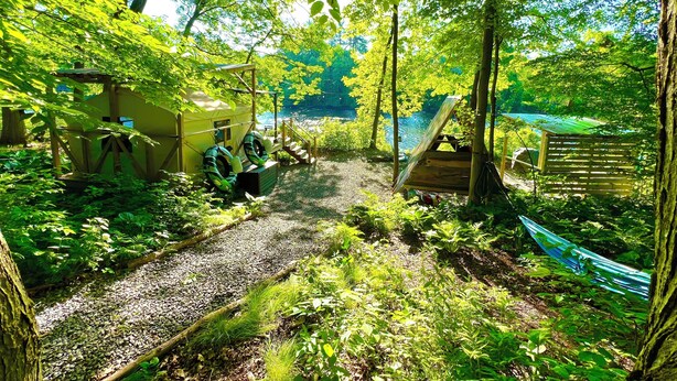 A forested area with a small wooden structure, a hammock, and a path leading to a body of water.