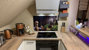 A modern kitchen with a built-in oven, a coffee maker, and a toaster. - Quiet apartment on the outskirts of the city (Chemnitz)