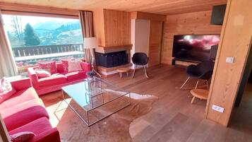 Smart TV, fireplace, DVD player, video library