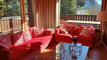 Älytelevisio, takka, DVD-soitin, videokirjasto