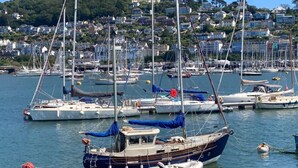 A marina with several boats docked, surrounded by a residential area with houses and greenery. - Croak Cottage, backing on to Frogmore Creek, part of the Salcombe Estuary (Frogmore, Kingsbridge)