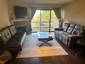 TV, fireplace, DVD player, stereo