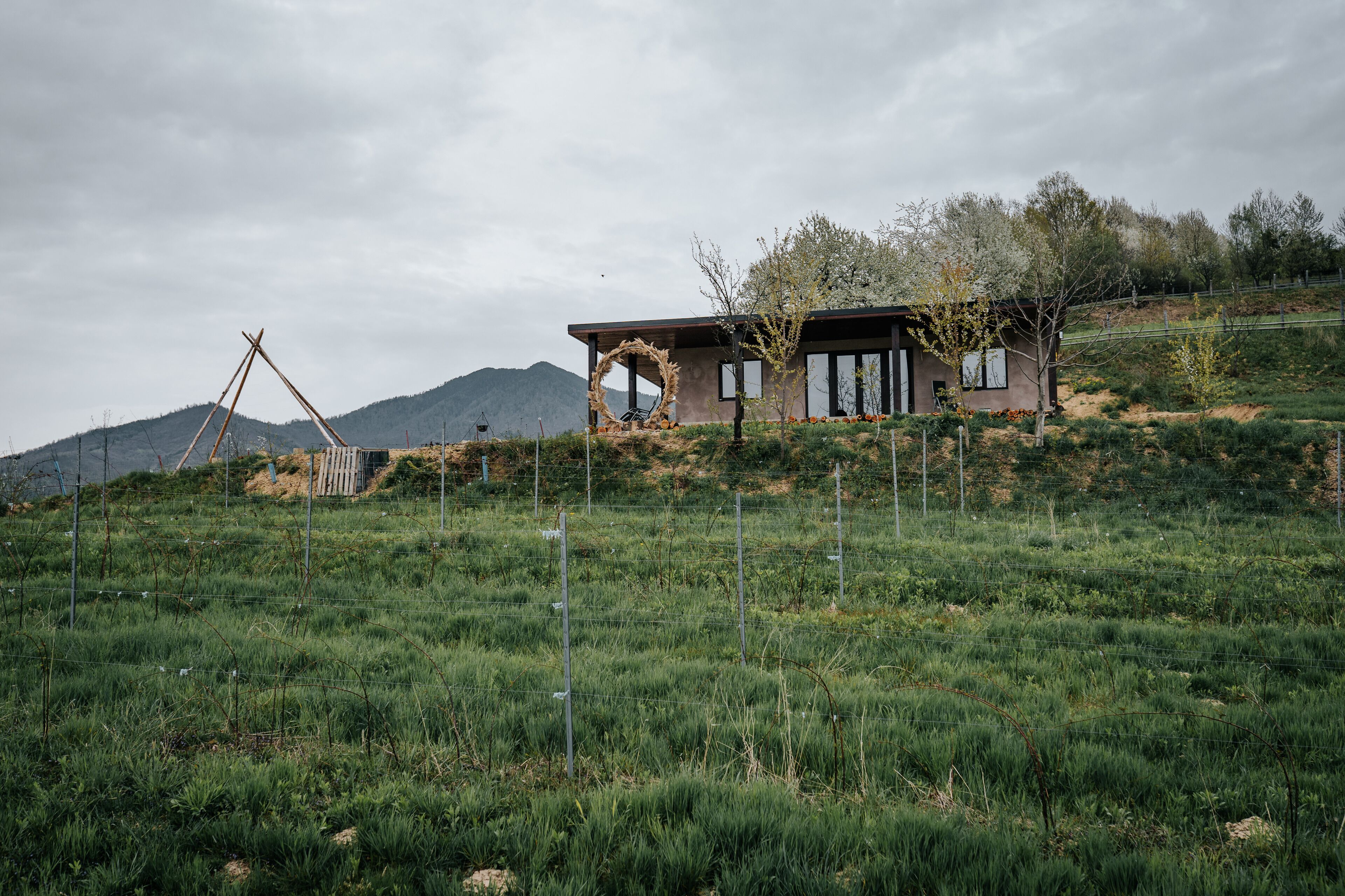 Áreas de la propiedad