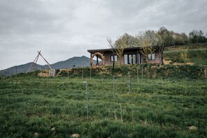 Property grounds - Prive nest king size beds Transilvania Colibita (Susenii Bârgaului)