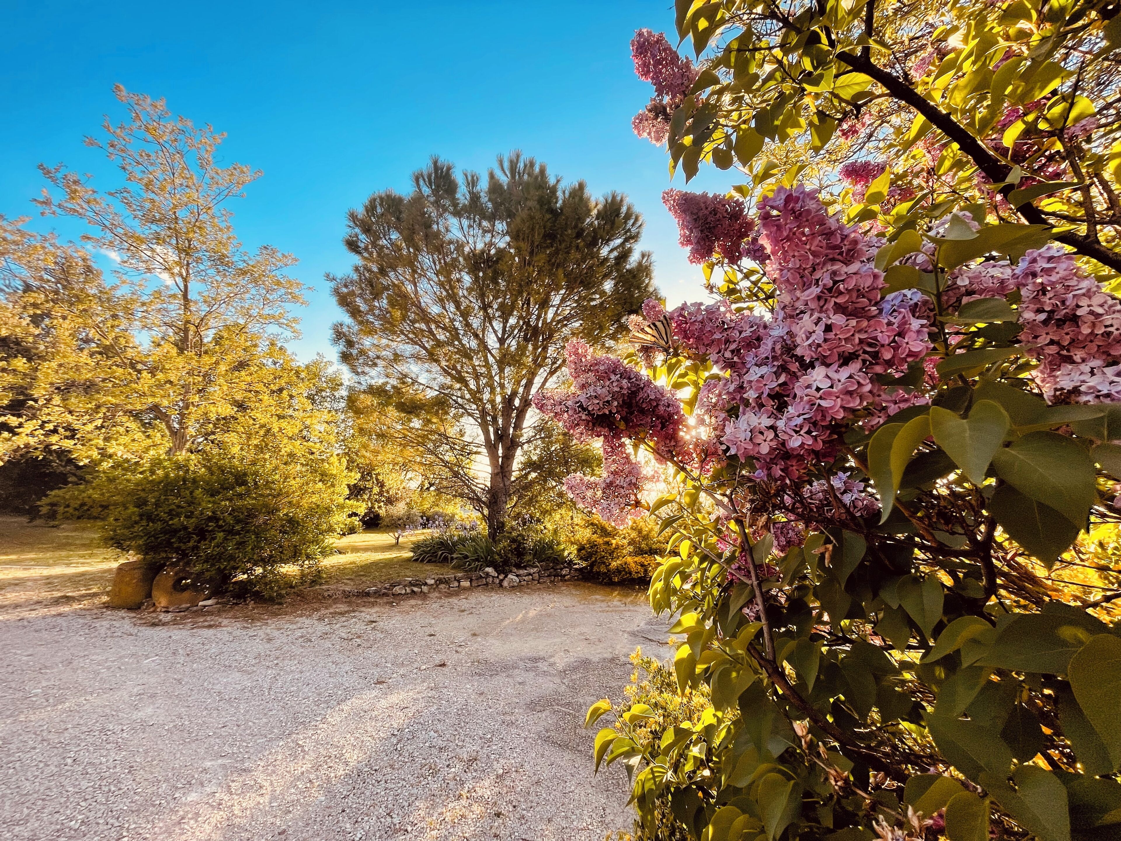 Área da propriedade
