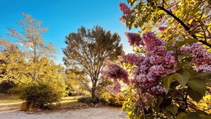 Un camino de grava que conduce a un jardín con árboles y arbustos florecientes.