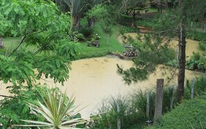 Área da propriedade