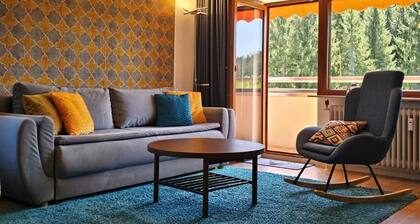 Holiday apartment “Tannenballett” with Black Forest panorama in Baiersbronn