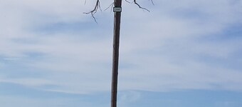 Ferienwohnung "tannenballett" im Schwarzwald